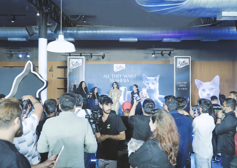 Corporate event manage on ground activity 